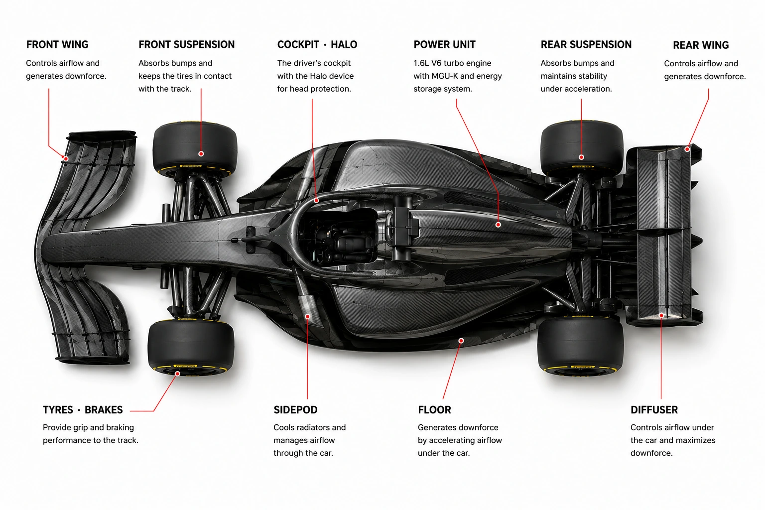 Top-view F1 car anatomy diagram showing the location and role of major components